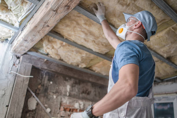 Best Insulation Replacement Services  in Long Branch, VA
