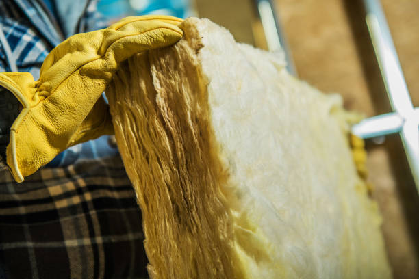 Best Home Insulation Services  in Long Branch, VA