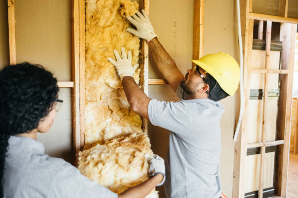Best Residential Insulation Services  in Long Branch, VA