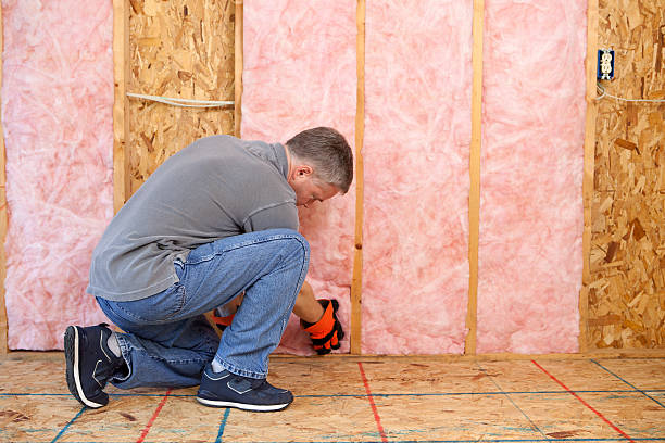 Best Wall Insulation Contractor  in Long Branch, VA